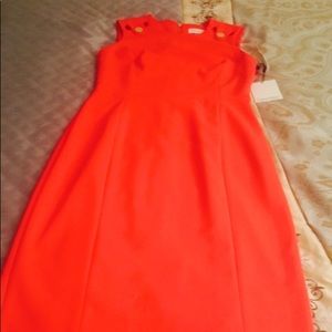 Women Calvin Klein Formal Work Evening Party